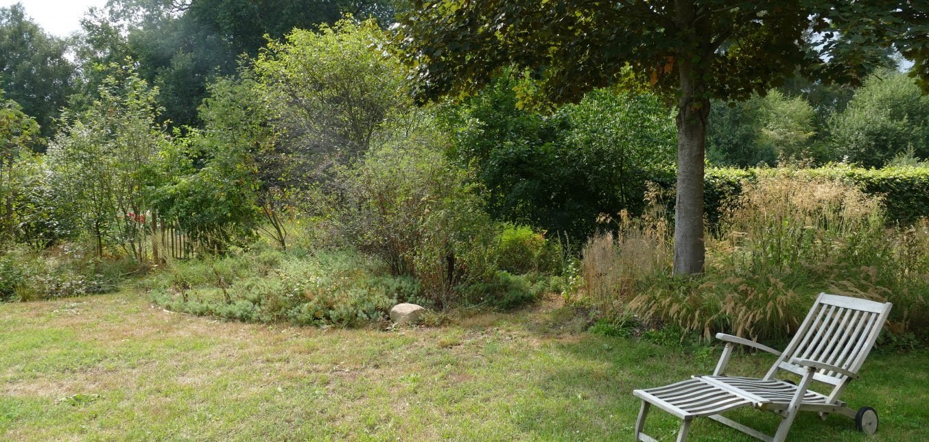 Trockener August - so viel ist verblüht