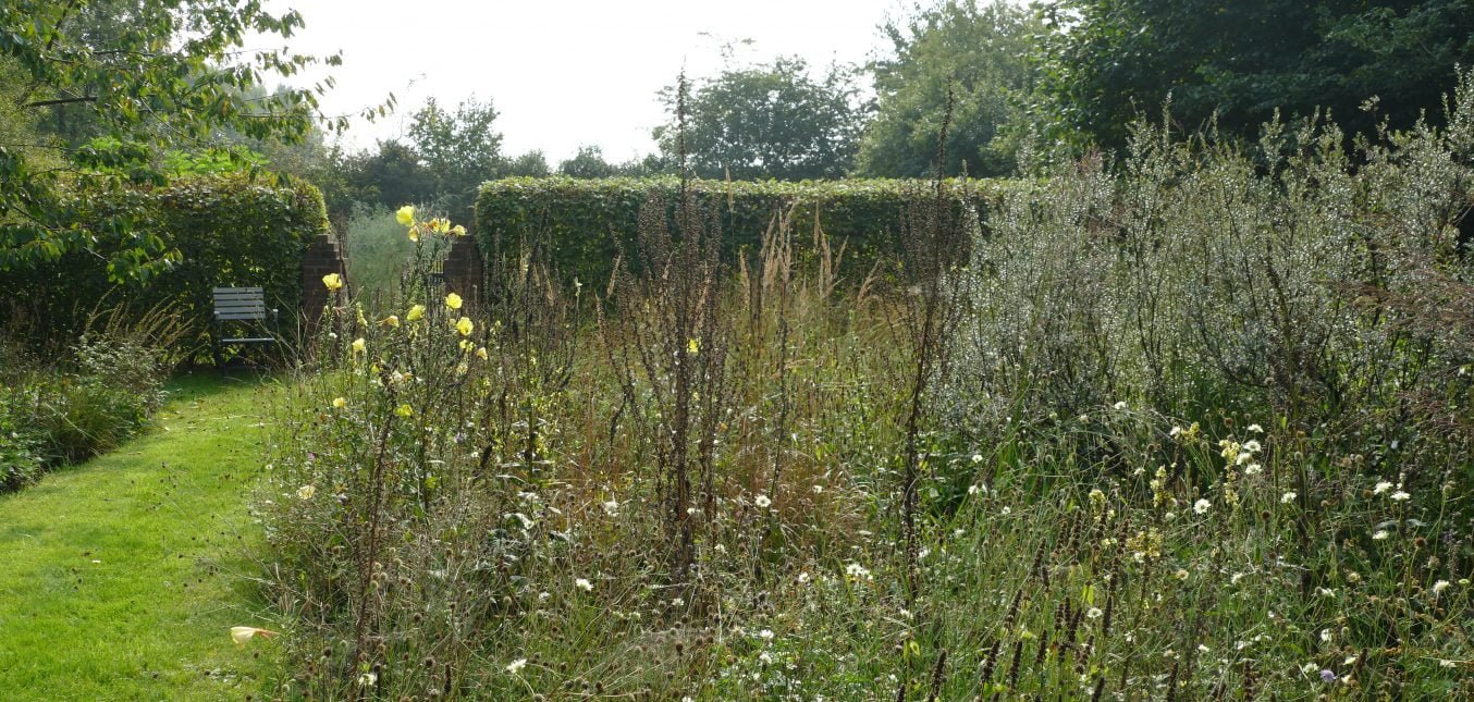 Restblüten: Naturgartenbeet im September