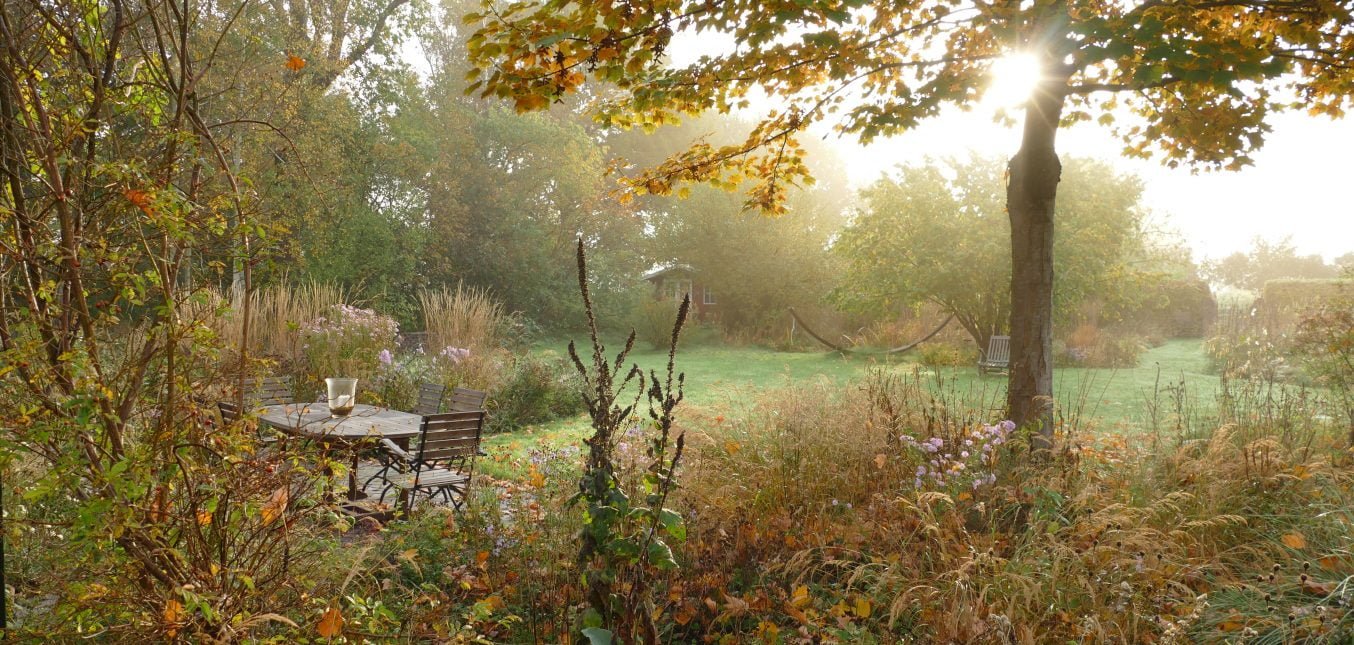 Herbst im Naturgarten - Gelbe Blätter