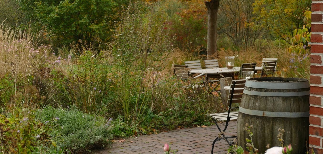 Herbst im Naturgarten: Die Jahreszeiten erleben