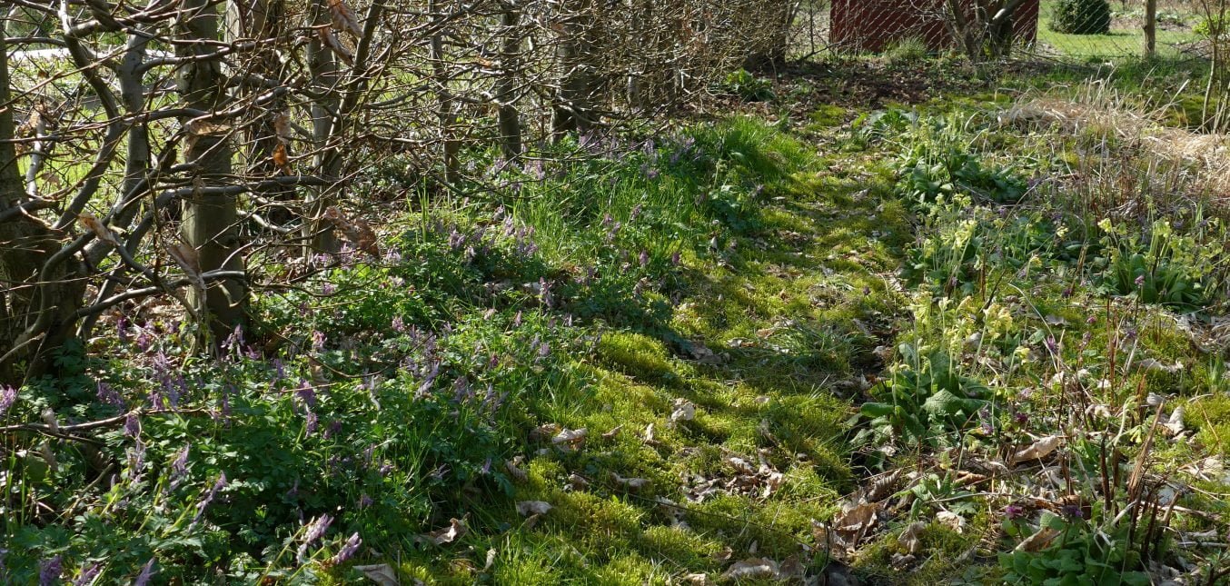 Naturgarten-Rundgang