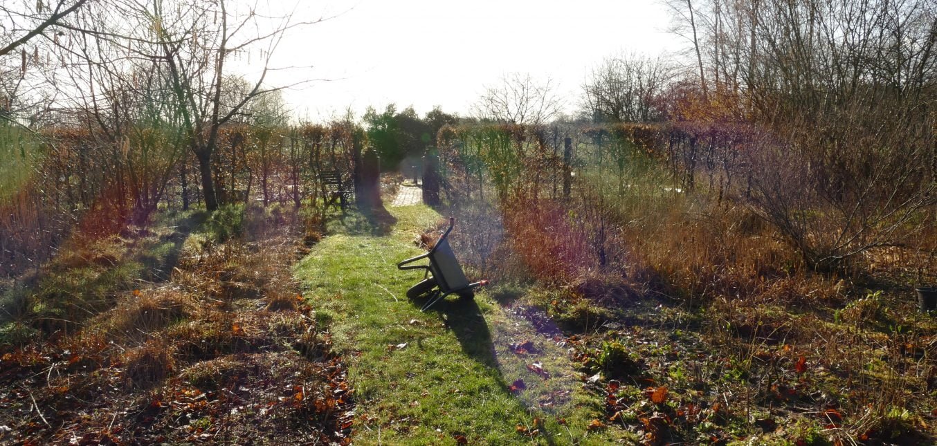 Naturgarten-Rundgang